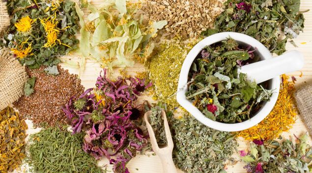 Zdravilne rastline, ki pomagajo v boju proti sladkorni bolezni